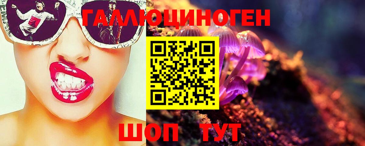 Галлюциногенные грибы мицелий  Псилоцибиновые грибы Magic Shrooms  Сокол  Вход с VPN 
