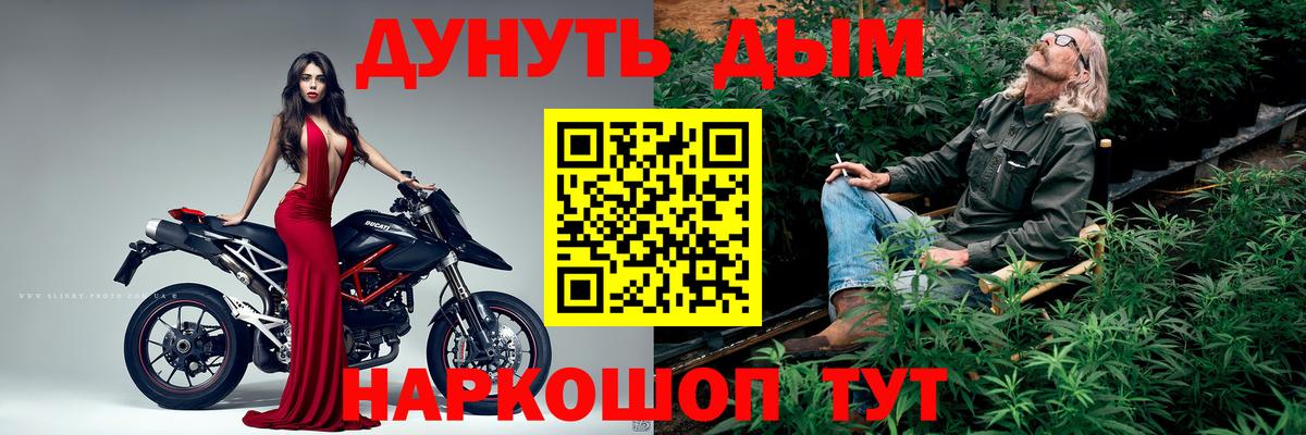 Каннабис индика Сокол